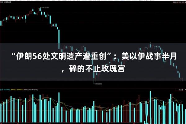 “伊朗56处文明遗产遭重创”:美以伊战事半月,碎的不止玫瑰宫