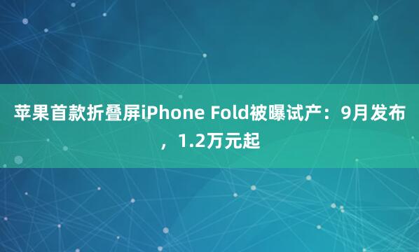 苹果首款折叠屏iPhone Fold被曝试产:9月发布,1.2万元起