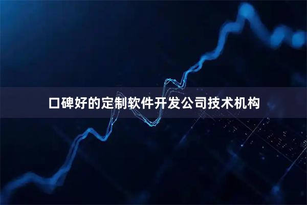 口碑好的定制软件开发公司技术机构