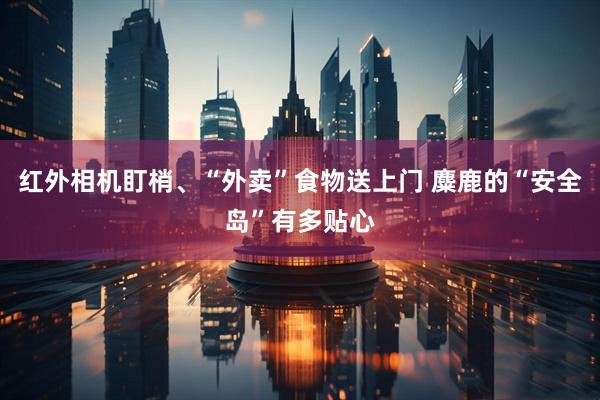 红外相机盯梢、“外卖”食物送上门 麋鹿的“安全岛”有多贴心